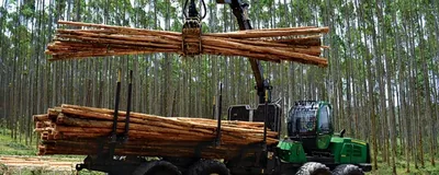 Controle de abastecimento de combustível para setor florestal e celulose